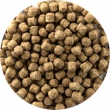 images/categorieimages/cat-koivoer-wheat-germ.jpg
