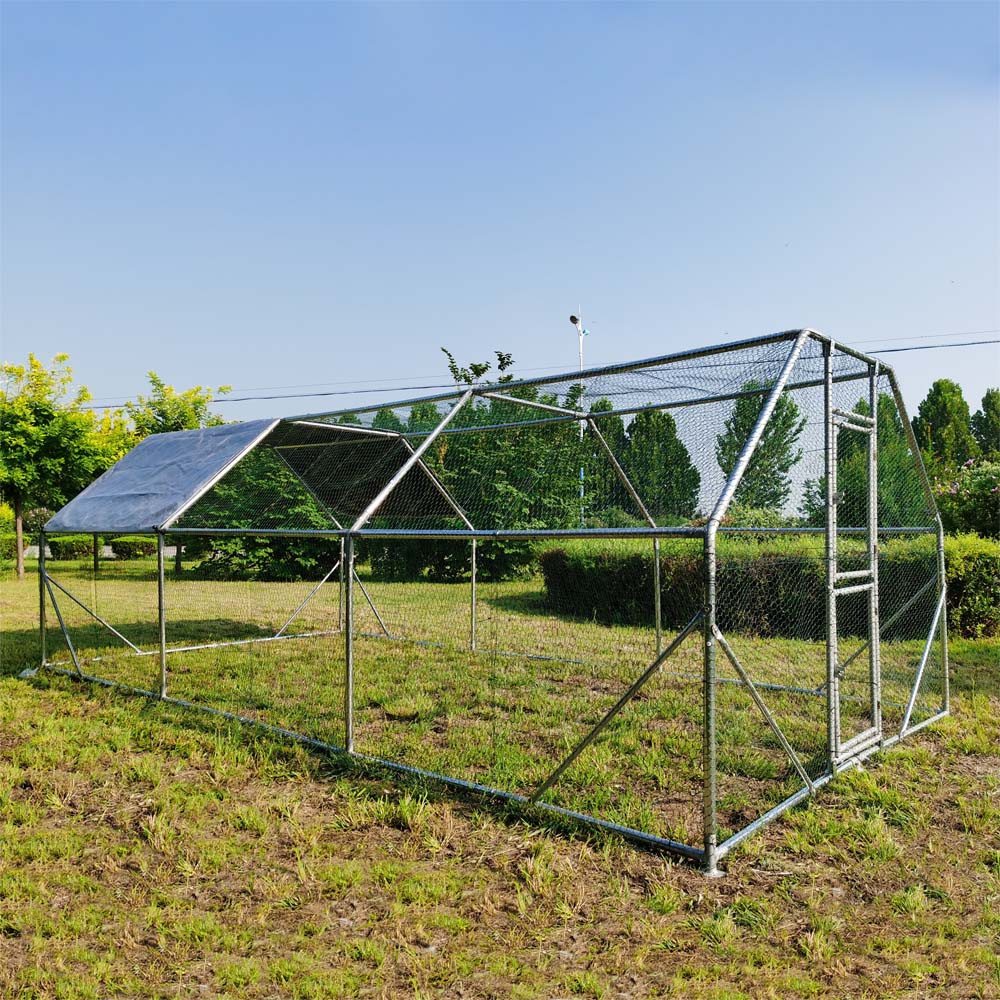 Kippenren | Gegalvaniseerd staal | 6 x 3 x 2 meter | Model 2