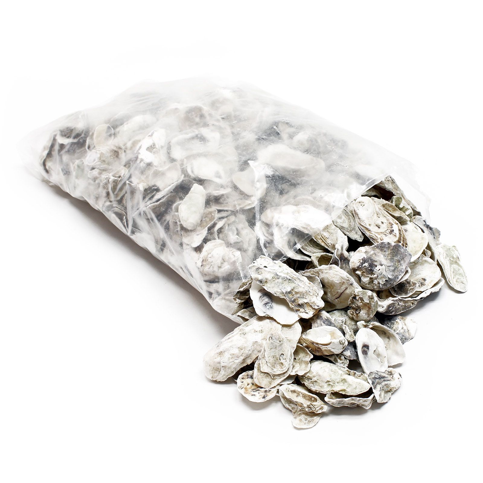 Oesterschelpen | 5 kg