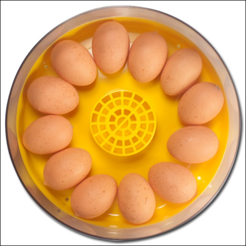 Broedmachine | 10 eieren (zonder keersysteem)