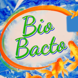 Bio Bacto Opstartbacteriën 100 ml