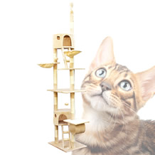 Kattenkrabpaal | 260 cm | Beige