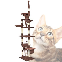 Kattenkrabpaal | 260 cm | Bruin/Beige