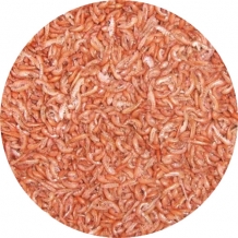 Gammarus | 12,8 liter (±1640gr)