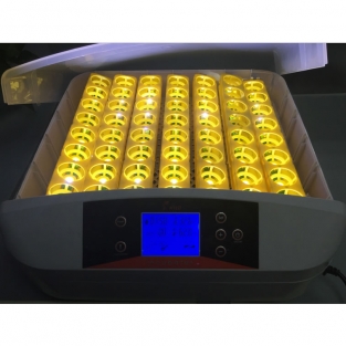 Broedmachine | 56 eieren | met 56 LED-schouwlampjes