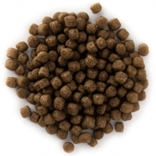 Koivoer Coppens Grower | 6 mm | 15 kg