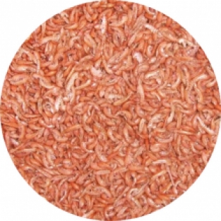 Gammarus | 12,8 liter (±1640gr)