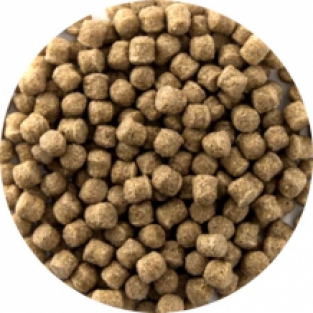 Wheat Germ | 6 mm | 15 kg