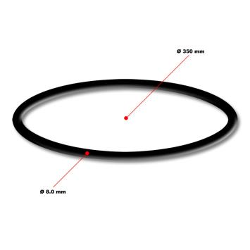 O-ring t.b.v. Drukfilter B-8/12/30.000